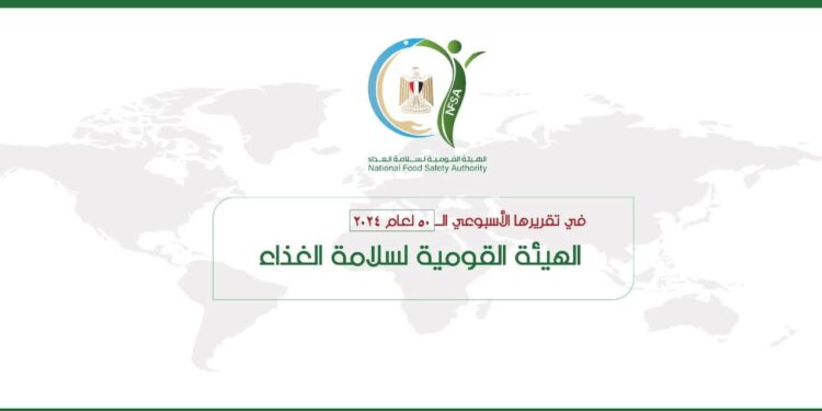 ١١٧ ألف طن إجمالي الصادرات الزراعية المصرية خلال الأسبوع الأخير من عام ٢٠٢٤ 1 الصادرات الزراعية