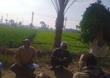 الإرشاد الزراعي