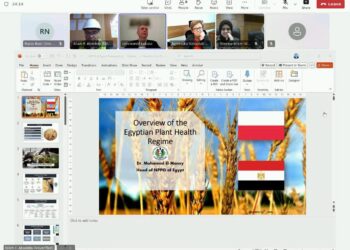 الحجر الزراعية