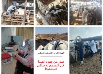 الخدمات البيطرية