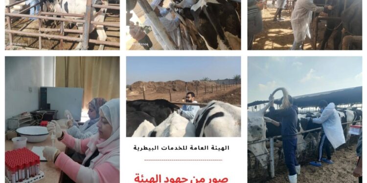 الخدمات البيطرية