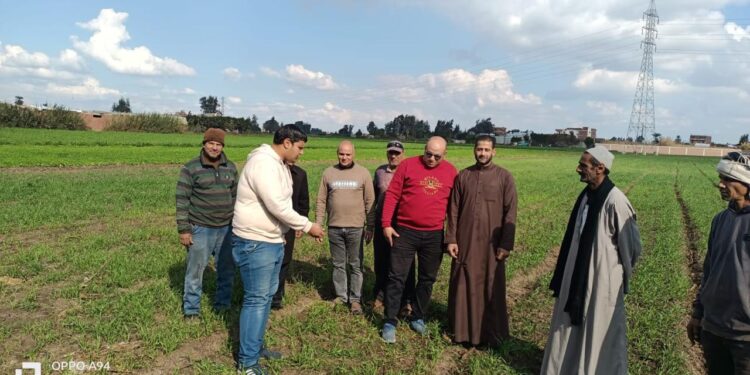 الزراعة تتابع حملتها لمكافحة حشائش القمح على مستوى الجمهورية 1 الزراعة