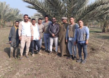 المركزي للنخيل