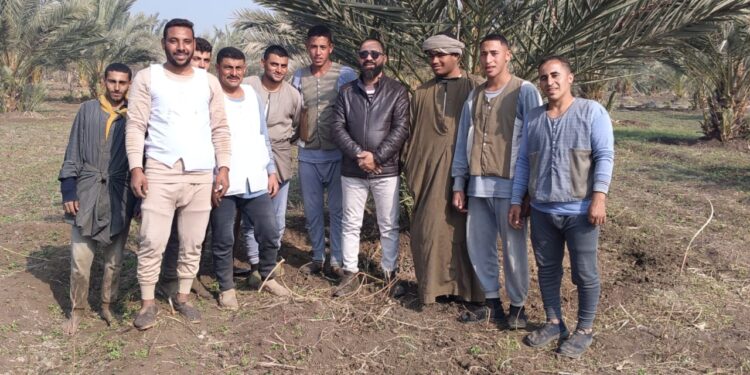 المركزي للنخيل