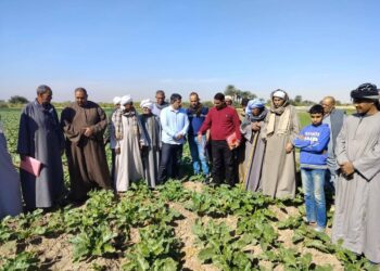 البحوث الزراعية يستعرض حصاد أنشطة مبادرة المراكز الإرشادية خلال شهر ديسمبر 2024