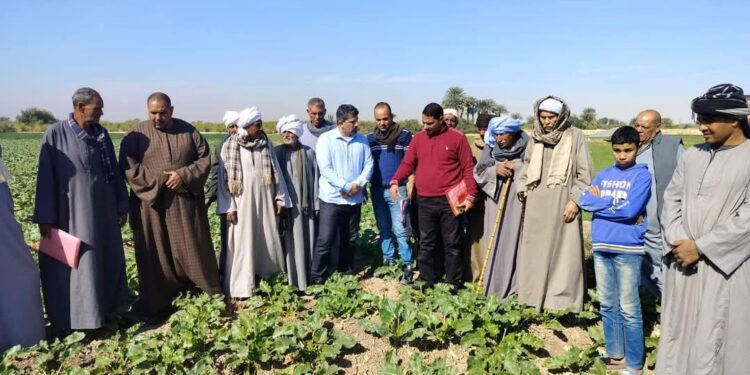 البحوث الزراعية يستعرض حصاد أنشطة مبادرة المراكز الإرشادية خلال شهر ديسمبر 2024