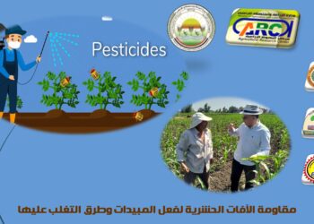 الآفات الحشرية