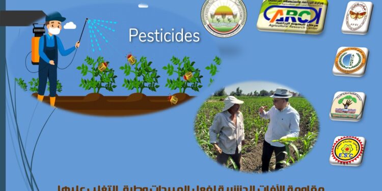 الآفات الحشرية