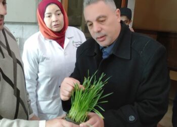 أمراض النباتات