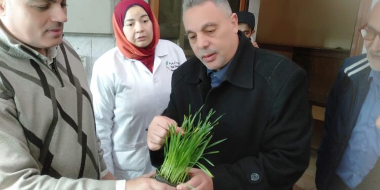 أمراض النباتات