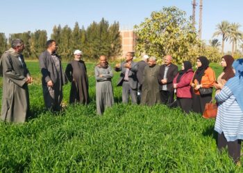 البحوث الزراعية