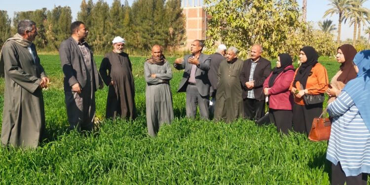 البحوث الزراعية