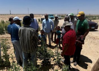 اسأل واستشير