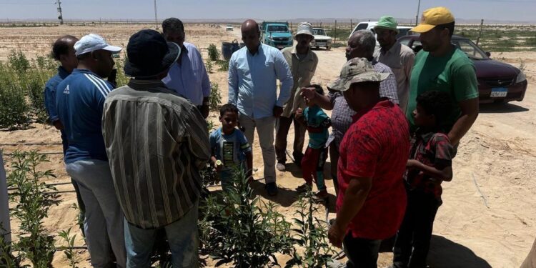 حملة "اسأل واستشير" تواصل أنشطتها في التجمعات الزراعية بشمال وجنوب سيناء 1 اسأل واستشير