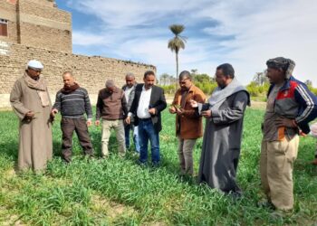 مكافحة الآفات