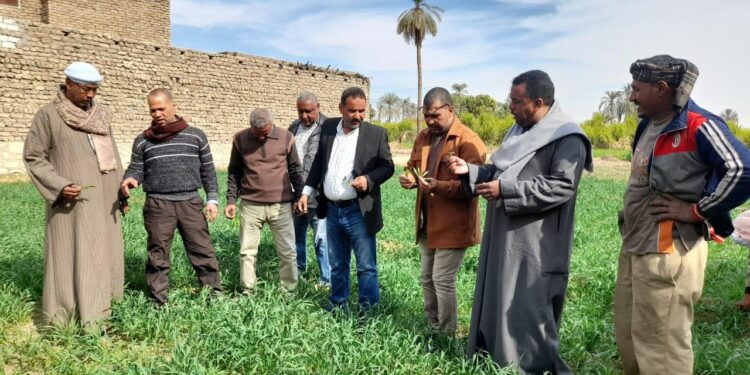 مكافحة الآفات