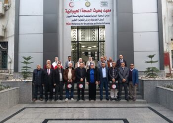 الصحة الحيوانية