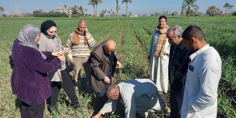 البحوث الزراعية