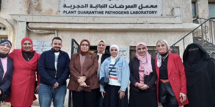 الزراعة تعلن تجديد الاعتماد الدولى لمعمل الممرضات النباتية الحجرية بمعهد بحوث أمراض النباتات 1 الزراعة تعلن تجديد الاعتماد الدولى لمعمل الممرضات النباتية الحجرية بمعهد بحوث أمراض النباتات