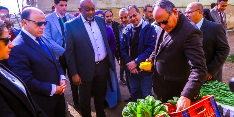 وزير الزراعة النيجيري يتفقد بعض المشروعات الزراعية والبرامج البحثية بمحافظتي كفر الشيخ والغربية 1 وزير الزراعة