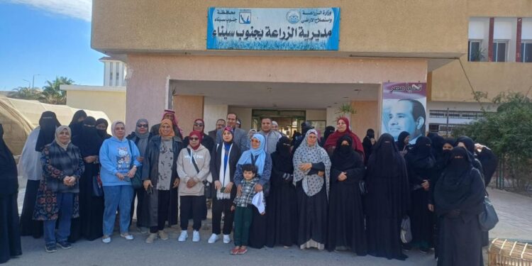 بحوث الصحراء يدعم سيدات جنوب سيناء بمشروعات الدواجن لتحسين دخل الأسرة وتنمية الثروة الداجنة 1 بحوث الصحراء