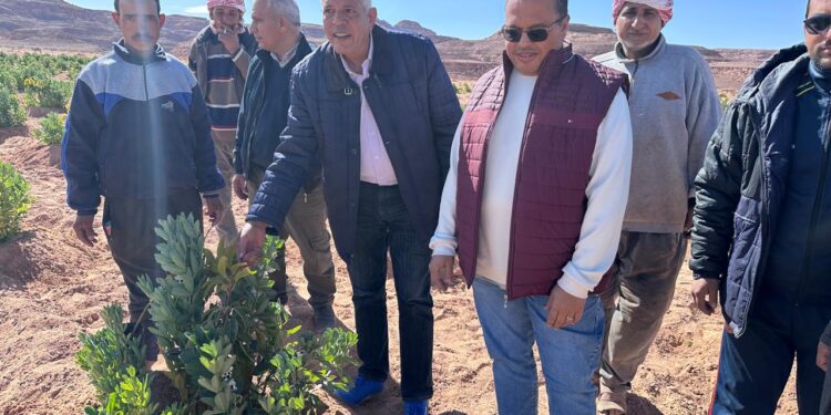 مدير "أكساد" يتفقد التجمعات التنموية بجنوب سيناء في إطار تعزيز التعاون مع بحوث الصحراء 1 أكساد