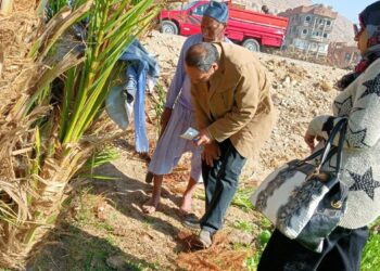 مكافحة الآفات