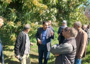 الزراعة تنظم زيارة ميدانية لدعم المزارعين في محافظة الأقصر حول الممارسات المثلى لزيادة الإنتاجية