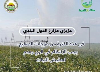 معاك في الغيط