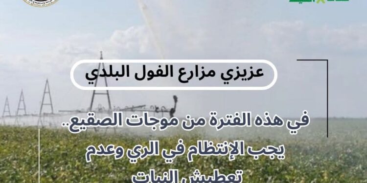 "معاك في الغيط" تنشر توصيات هامة لتجنب آثار الصقيع على زراعات القمح والفول 1 معاك في الغيط