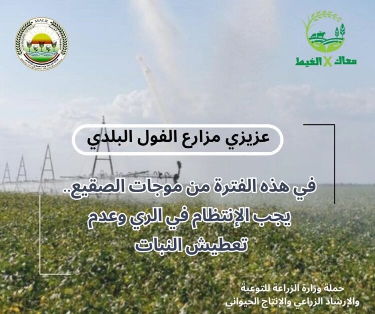 معاك في الغيط