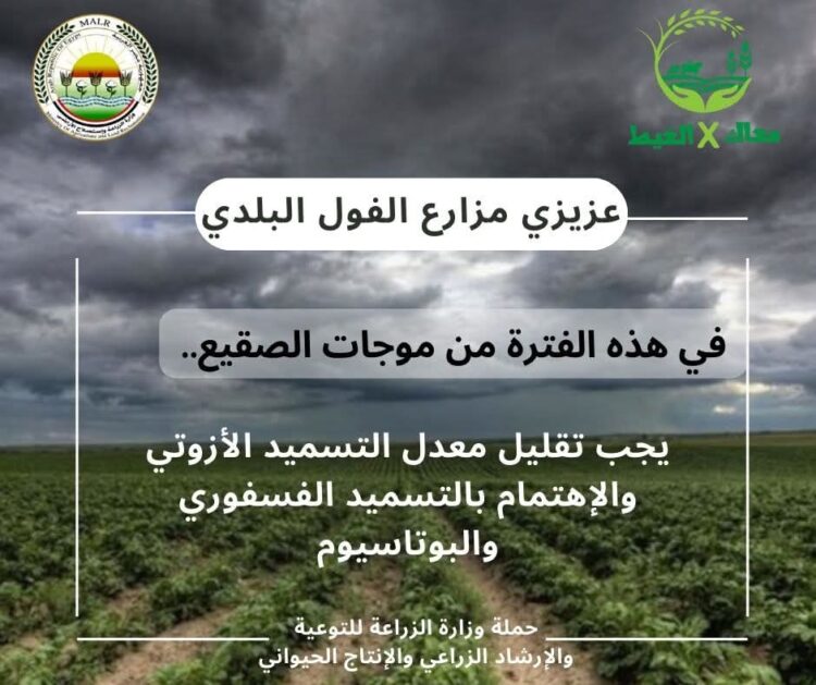 “معاك في الغيط” تنشر توصيات هامة لتجنب آثار الصقيع على زراعات القمح والفول
