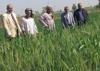 المحاصيل الاستراتيجية