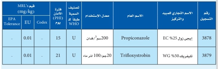 برنامج المكافحة المعتمد لصدأ الثوم