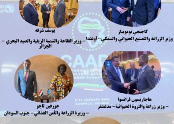 القمة الأفريقية