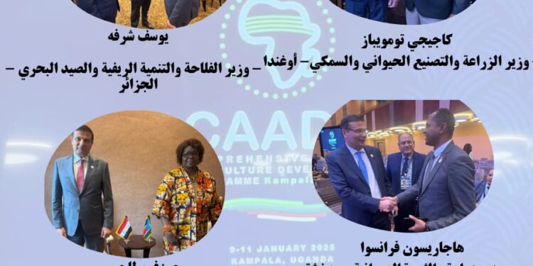 انفوجراف..نتائج مشاركة وزير الزراعة في القمة الأفريقية الاستثنائية بأوغندا 1 القمة الأفريقية