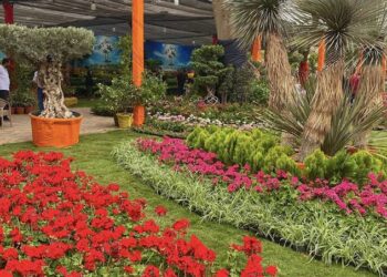 معرض زهور الربيع