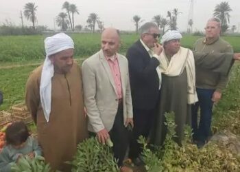 المركزية للإرشاد الزراعي