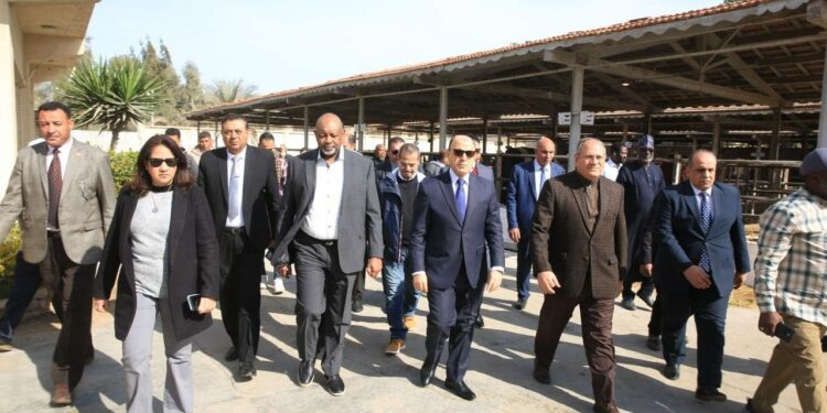 البحوث الزراعية يحقق إنجازات مستمرة لتعزيز الإنتاجية الزراعية و تحقيق الأمن الغذائى 1 البحوث الزراعية