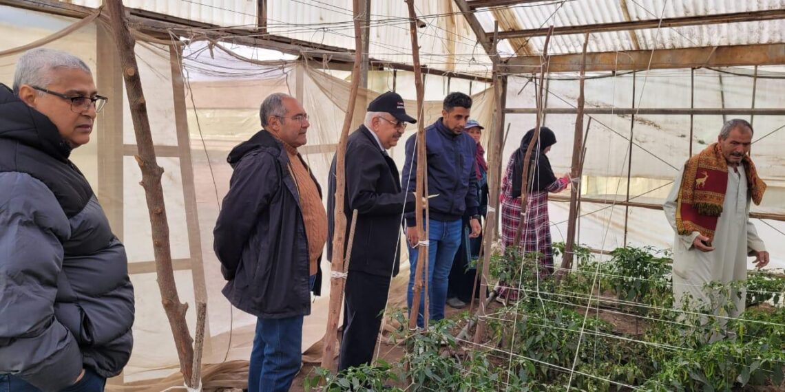 «الحاصلات البستانية» يتابع الصوب الزراعية في النوبارية و قها 1 الحاصلات البستانية