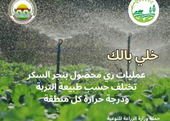 معاك في الغيط