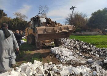 زراعة أسيوط