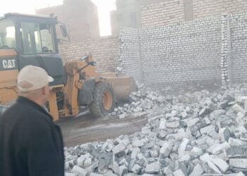 زراعة أسيوط