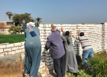 زراعة أسيوط