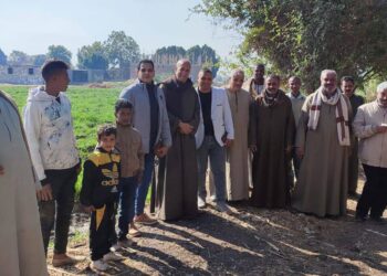 زراعة الأقصر