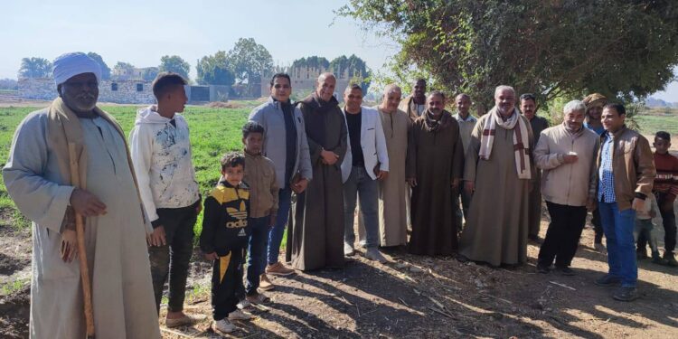 «زراعة الأقصر»: فرق وندوات إرشادية لمحصول القمح لتوعية المزارعين بأهم العمليات الزراعية 1 زراعة الأقصر