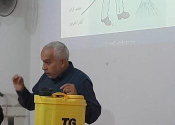 زراعة الإسكندرية