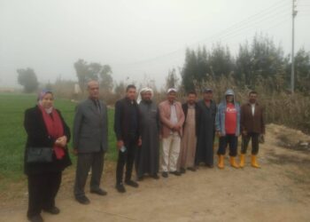 زراعة الإسكندرية