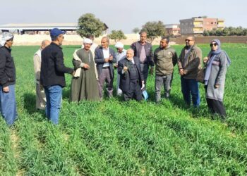 زراعة الإسماعيلية