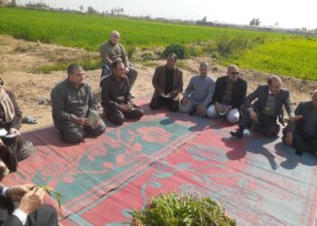 زراعة الإسماعيلية